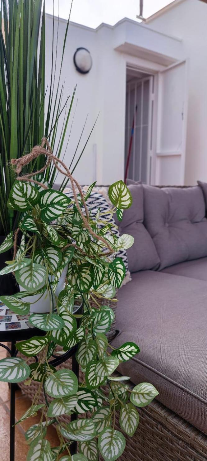 Apartamento Casa De Alba Cabo Cervera La Mata Torrevieja Esterno foto