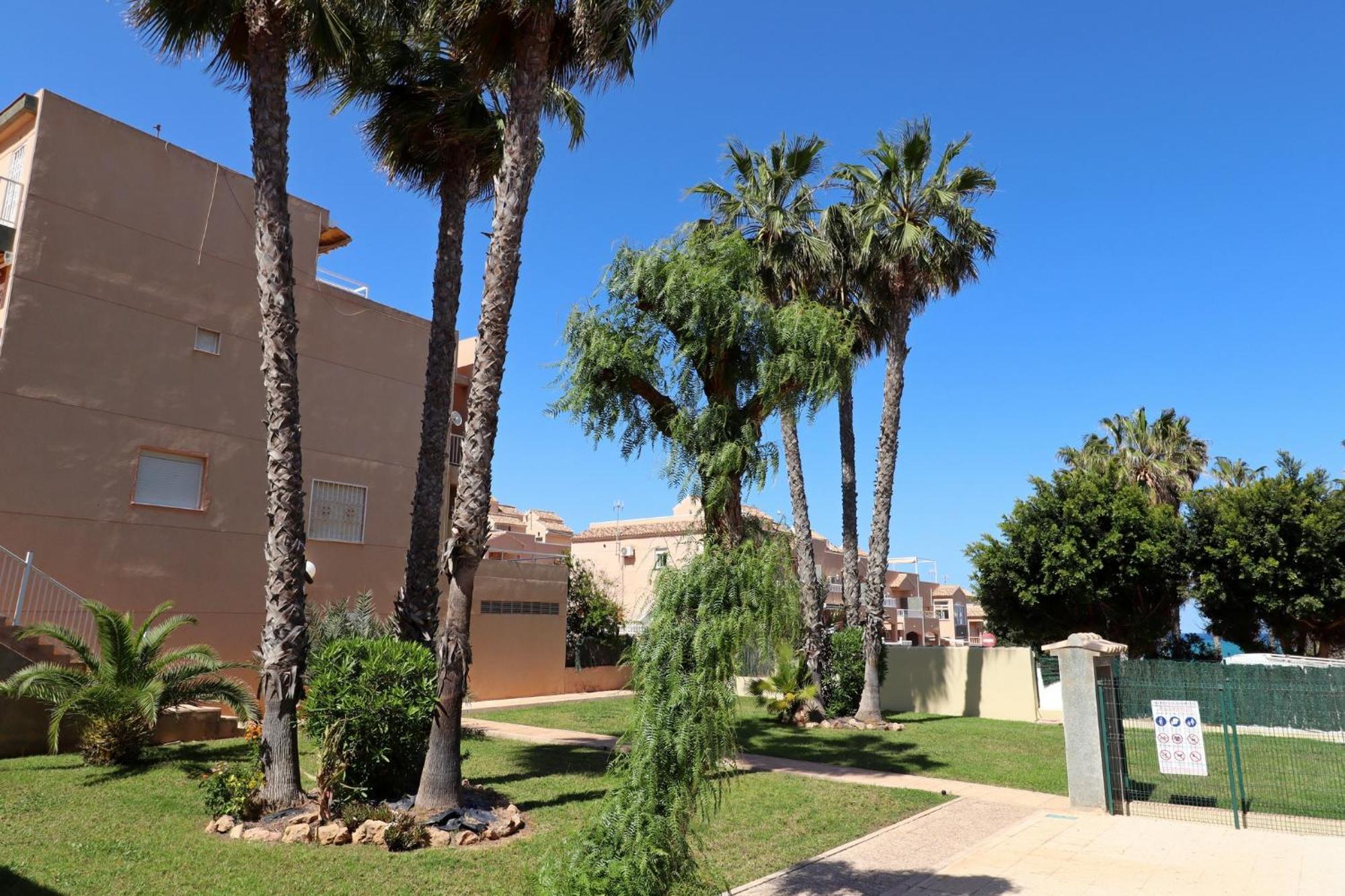 Apartamento Casa De Alba Cabo Cervera La Mata Torrevieja Esterno foto